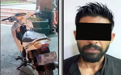 پلیس «جوجه تیغی» را به دام انداخت