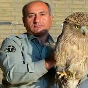 قاتل «هدایت الله دیده بان» همچنان متواری است