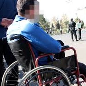عقاب چگونه سردسته باند سارقان شد؟