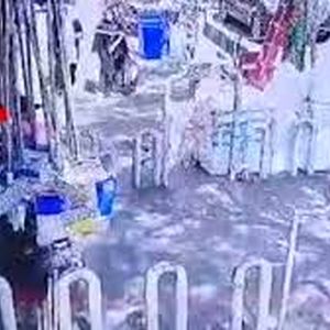 لحظه سرقت ۳ ثانیه گردنبند زن میانسال در خیابان مولوی تهران/ ویدئو